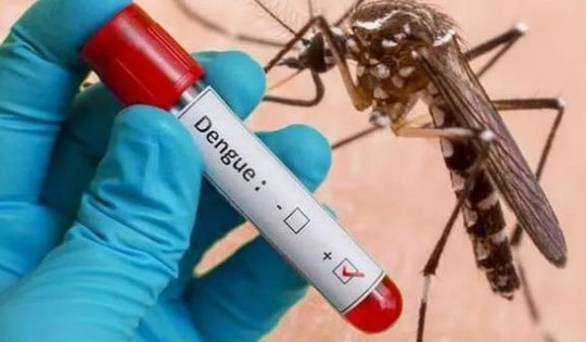 Bệnh sốt xuất huyết ngày càng khó lường