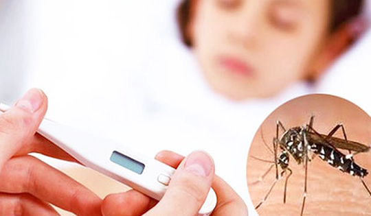5 lưu ý khi chăm sóc người bệnh sốt xuất huyết tại nhà an toàn và hiệu quả