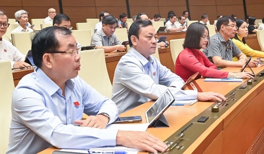 Không đưa chính sách hỗ trợ đối với cán bộ bị ảnh hưởng do sắp xếp vào Luật Việc làm (sửa đổi)