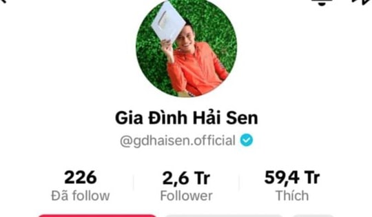 Vì sao chủ kênh TikTok 'Gia đình Hải Sen' bị bắt?