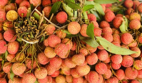 Loại quả đặc sản Việt đang vào mùa bán đầy chợ giá rẻ bèo, xuất nước ngoài lên tiền triệu/kg