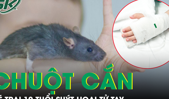 Bị chuột cắn, bé trai 10 tuổi suýt hoại tử tay, phụ huynh cần biết điều này để bảo vệ con