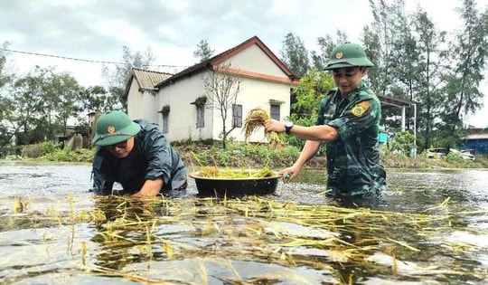 Cấp 130 tấn giống lúa cho người dân Quảng Trị khắc phục hậu quả bão số 1