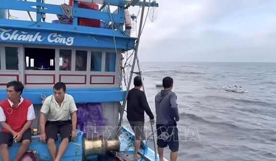 Cứu được toàn bộ thuyền viên vụ chìm tàu cá trên vùng biển Lý Sơn