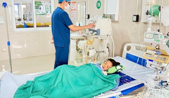 Ngủ một mình trong phòng, bé 7 tuổi ở Ninh Bình bị rắn cạp nia cắn nguy kịch