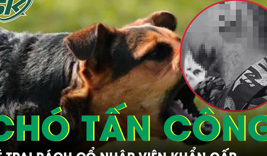 Bé trai bị chó nhà hàng xóm tấn công rách cổ, cảnh báo nguy cơ bệnh dại tăng cao dịp hè