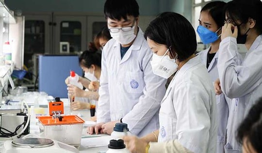 10 đại học Việt Nam trong Bảng xếp hạng đại học thế giới