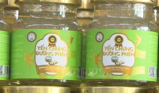 Thu giữ hơn 23.000 sản phẩm yến chưng giả