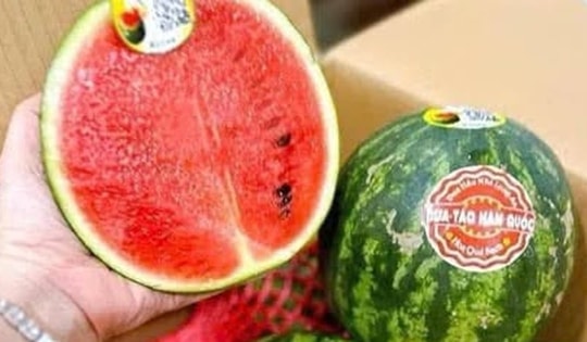 Vì sao nhiều người đua nhau săn lùng dưa hấu táo mini?