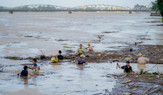 Cấp phát miễn phí 160 tấn lúa giống hỗ trợ người dân TP Huế khắc phục hậu quả bão số 1