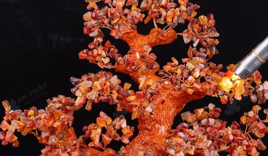 Cây tài lộc đá mã não đặt ở đâu trong nhà để thu hút tài lộc?