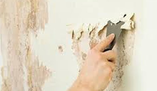 Cách khắc phục sơn tường bị ố vàng nhanh chóng và hiệu quả nhất tại nhà