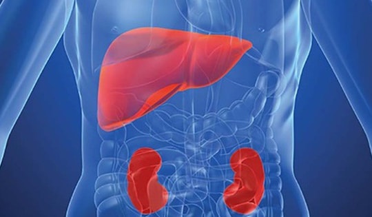 Loại gia vị nhà nào cũng dùng nhưng ăn nhiều phá gan, hại thận khủng khiếp