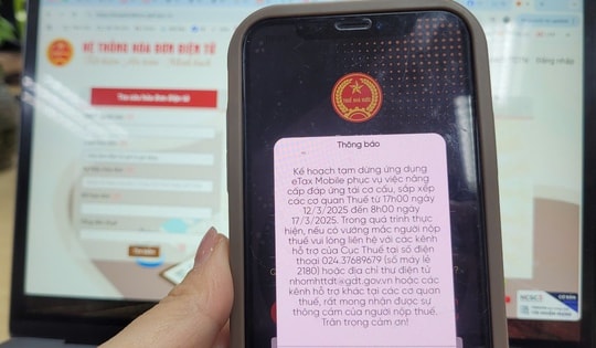 Từ 1/7, người nộp thuế cần biết điều đặc biệt này khi số định danh cá nhân thay mã số thuế