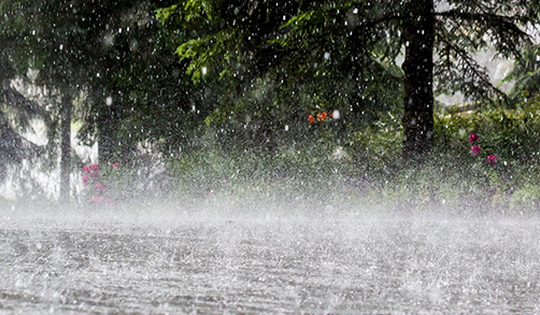 Cảnh báo mưa dông nhiều khu vực ở miền Bắc đêm nay