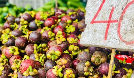 Măng cụt vào mùa giá 'siêu hời', tiểu thương chia sẻ cách loại bỏ quả hỏng, tránh lãng phí