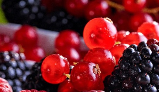 Đồ uống nào tốt cho người tăng huyết áp?