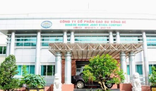 Công ty Cổ phần Cao su Sông Bé bị phạt hàng trăm triệu vì báo cáo lỗ thành lãi