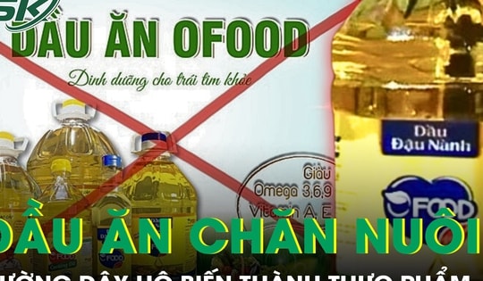 Thủ đoạn tinh vi trong đường dây biến dầu ăn chăn nuôi thành dầu ăn cho người