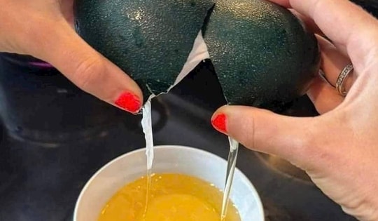 Trứng đà điểu Úc giá tiền triệu có thực sự 'đắt xắt ra miếng'?