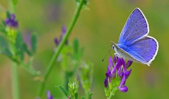 Người có ngày sinh Âm lịch kết thúc bằng 4 số này, nghèo khó chỉ là tạm thời, vận may đổ về từ nửa đời sau