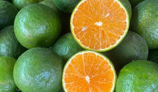 5 loại trái cây giàu kali có thể giúp hạ huyết áp