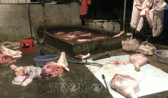 Chặn thực phẩm bẩn, kiểm soát tận khâu giết mổ