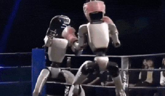 Robot hình người tỉ thí võ đài: Các kỹ thuật phức tạp như đấm móc, đá xoay và tự bật dậy được thực hiện