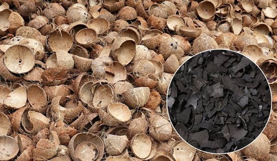 Thứ bỏ đi từ trái dừa thành "mỏ vàng", Việt Nam kiếm hàng chục triệu đô: Thế giới đổ xô đặt hàng