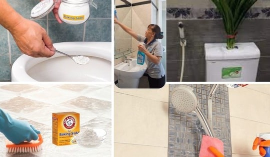 Những vị trí cần làm sạch không được bỏ sót khi dọn dẹp nhà vệ sinh