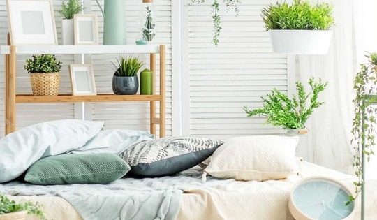 Những loại cây nhả khí oxy vào ban đêm, trồng trong phòng ngủ giúp tăng sinh dương khí, ngủ ngon và cải thiện sức khỏe