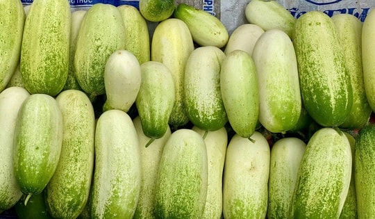 Loại dưa chuột ‘khủng’ cả kg/quả, đặc sản vùng Tây Bắc được chị em thi nhau săn đón