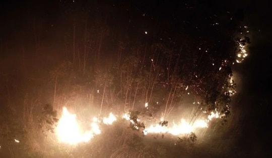 Nghệ An: Cháy rừng lớn trên núi Bàn Cờ, hàng trăm người tham gia dập lửa