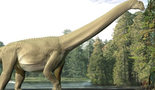 Có gì trong "bữa tiệc cuối cùng" của siêu quái thú dài 15 m?