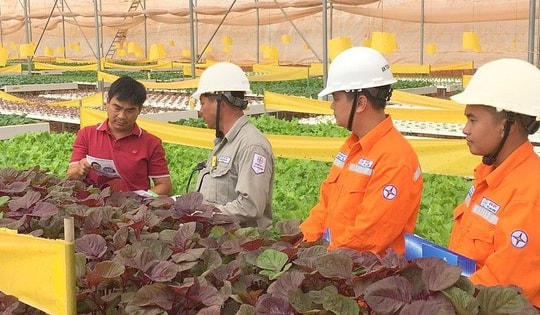 Lịch cúp điện Kiên Giang từ ngày 2 – 6/7/2025: Cúp điện 11 tiếng/ngày hàng loạt khu dân cư và khu công nghiệp