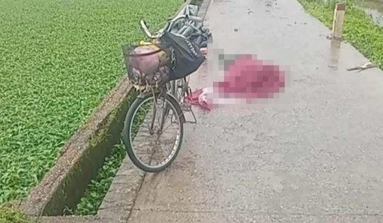 Người phụ nữ bị sét đánh tử vong khi đi qua cánh đồng ở Hà Nội