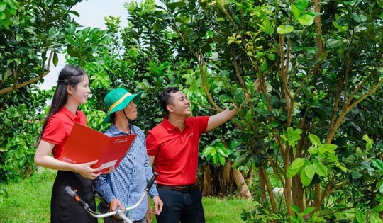 Agribank - Doanh nghiệp ESG Việt Nam xanh 2025