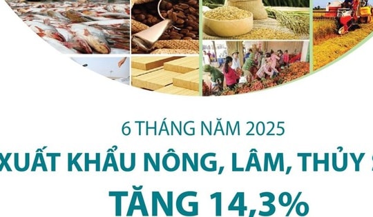6 tháng năm 2025: Xuất khẩu nông, lâm, thủy sản tăng 14,3%