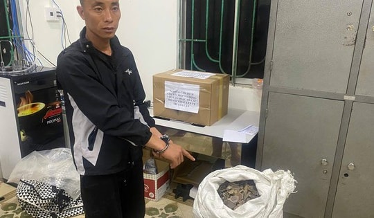 Bắt giữ đối tượng vận chuyển vảy tê tê cùng ma túy