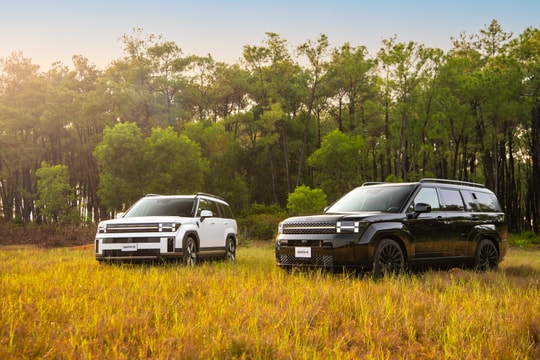 Khách mua xe Hyundai Santa Fe & Palisade được tặng 100% lệ phí trước bạ