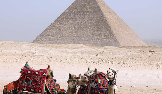 Phát hiện chấn động hé lộ danh tính những người xây Đại Kim tự tháp Ai Cập