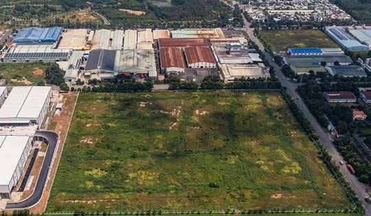 Miễn thuế sử dụng đất nông nghiệp đến hết ngày 31/12/2030