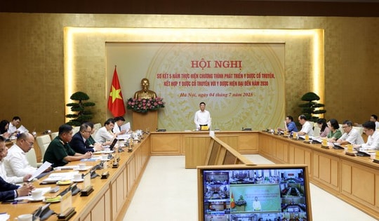 'Phải tổ chức thực hiện, làm sao y dược cổ truyền thực sự phát triển đúng tầm'