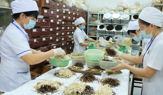 Bộ Y tế nêu quy định thuốc cổ truyền không phải kê đơn