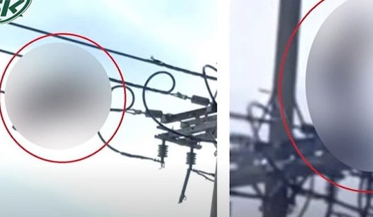 Người phụ nữ bò lên dây điện làm hành động 'lạ' khiến người dân khiếp vía đã tử vong
