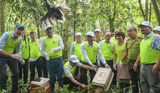 Khu rừng ‘hồi sinh’ nhiều loài động vật quý hiếm