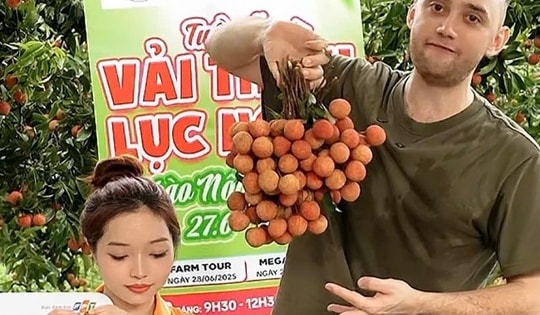 Vải thiều dội chợ rớt giá, đưa lên livestream lại "cháy hàng"