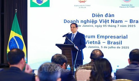 Thủ tướng Phạm Minh Chính dự Diễn đàn doanh nghiệp Việt Nam - Brazil