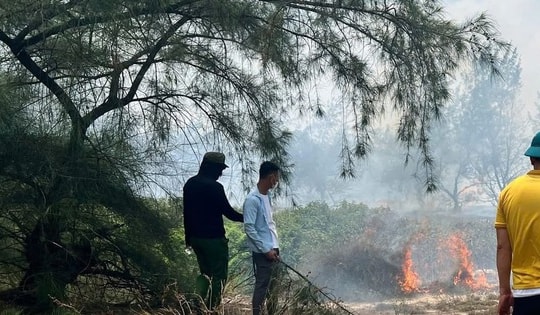 Quảng Trị: Hơn 100 người xuyên trưa chữa cháy rừng