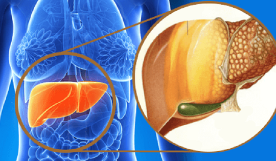 Thêm liệu pháp điều trị virus viêm gan C cấp tính